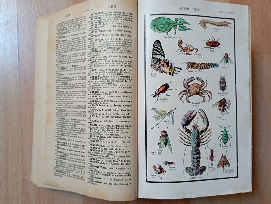 Dicionário antigo Lello Popular