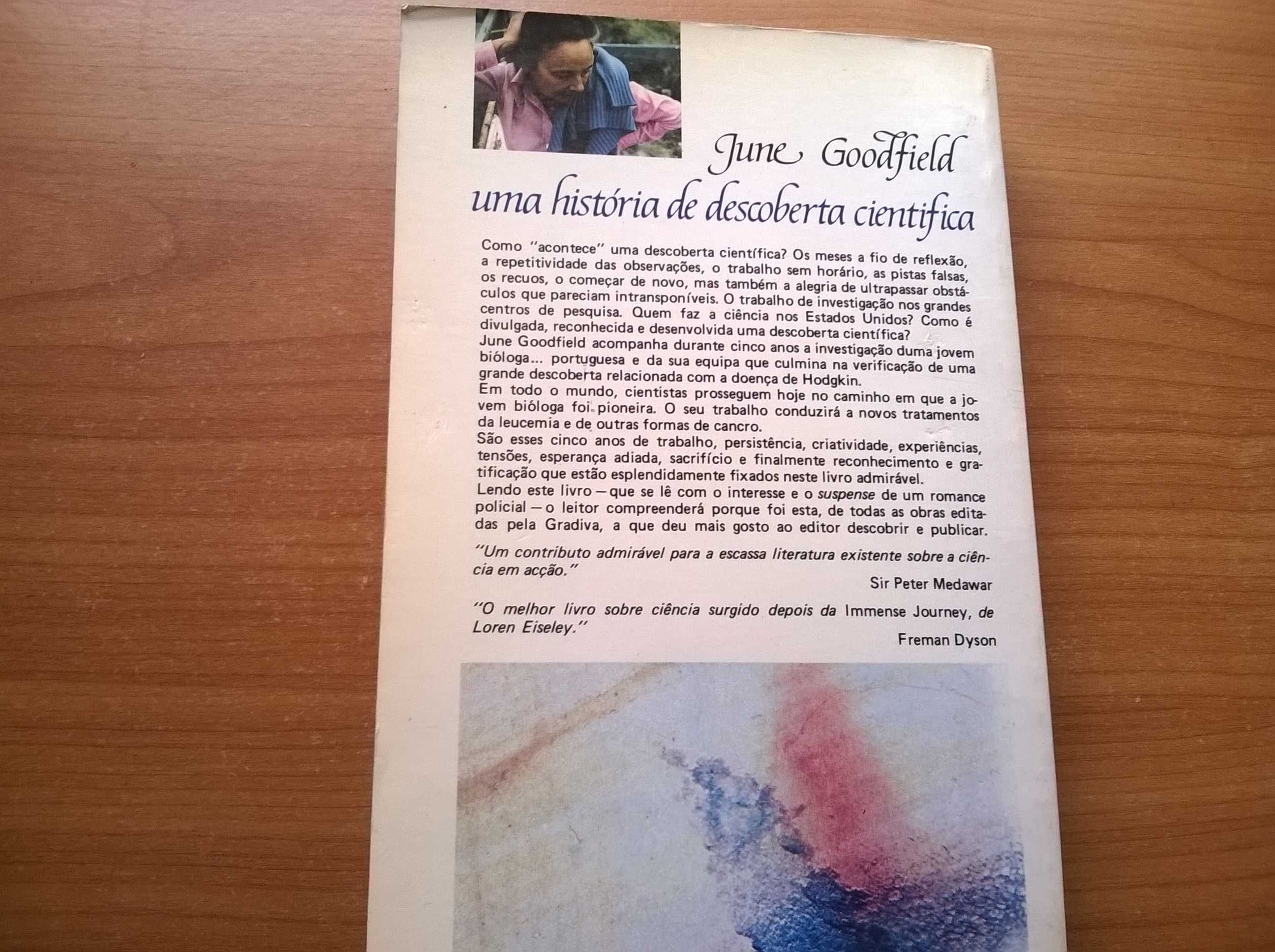 Um Mundo Imaginado - June Goodfield