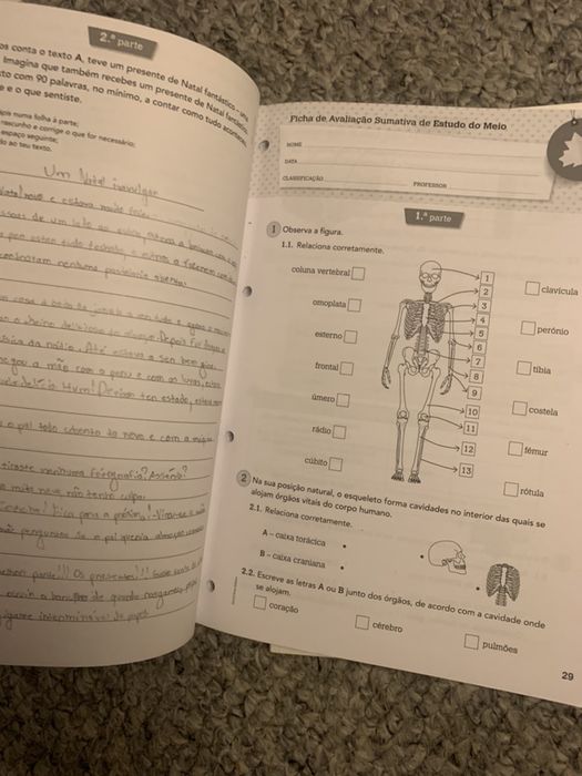 2 livros de apoio escolar - 4.º ano