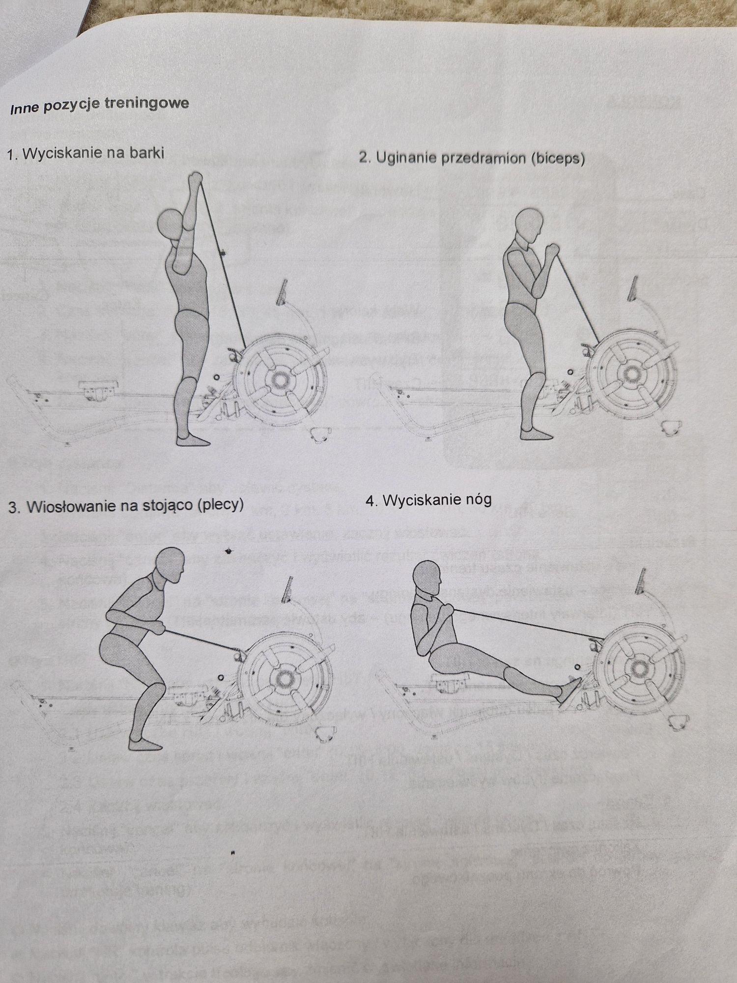 Ergometr wioślarski magnetyczny  The Blade