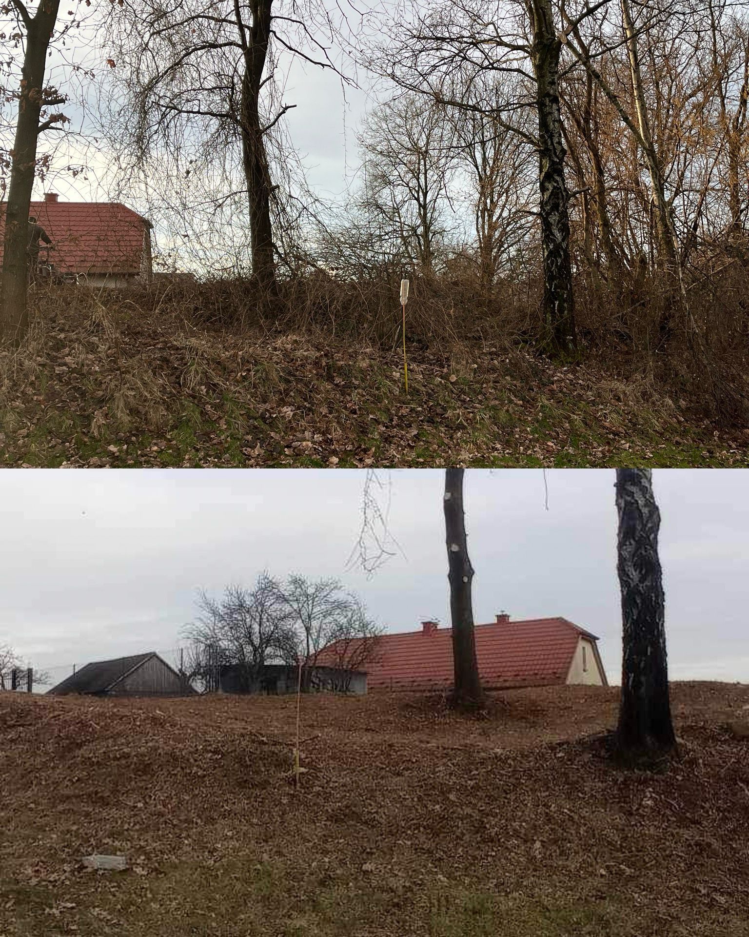 Koszenie,wycinka,mulczowanie,przycinka,zakładanie trawnika,trawnik