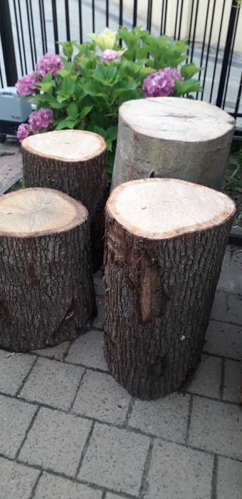 Klocki pieńki dębowe, bukowe, grabowe, brzozowe