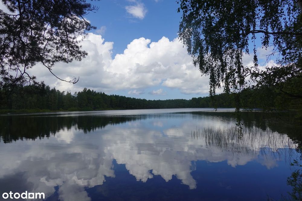 Działka budowlana 3000m2, nad morzem, morze/jeziora/las, Łeba 8km