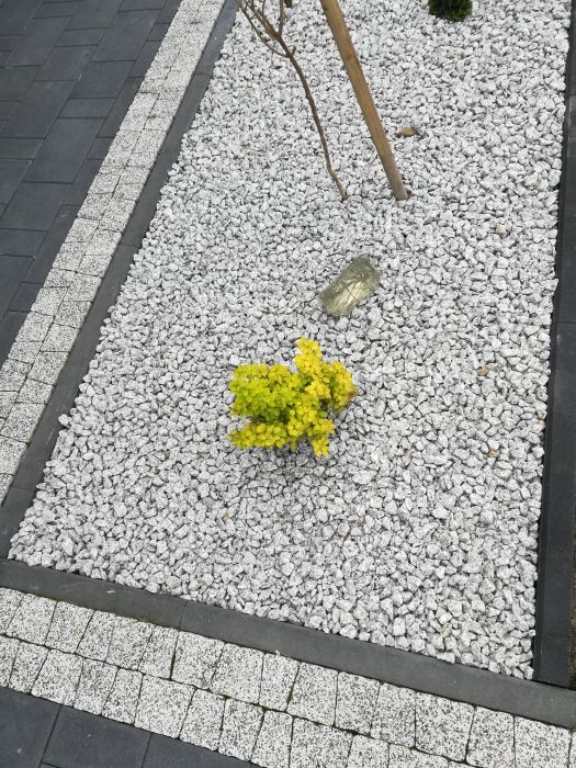 Kamień ogrodowy Grys granitowy kamień ozdobny Otoczak grecki