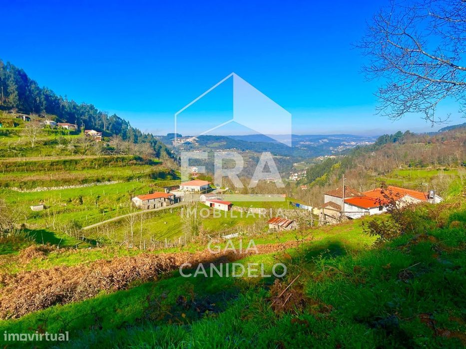 Terreno em Cinfães para Turismo Rural com Projeto