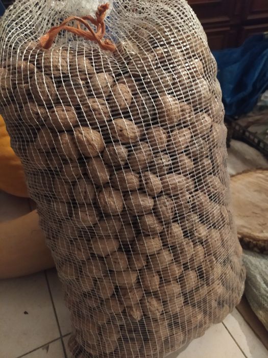 Abóboras e nozes biológicas