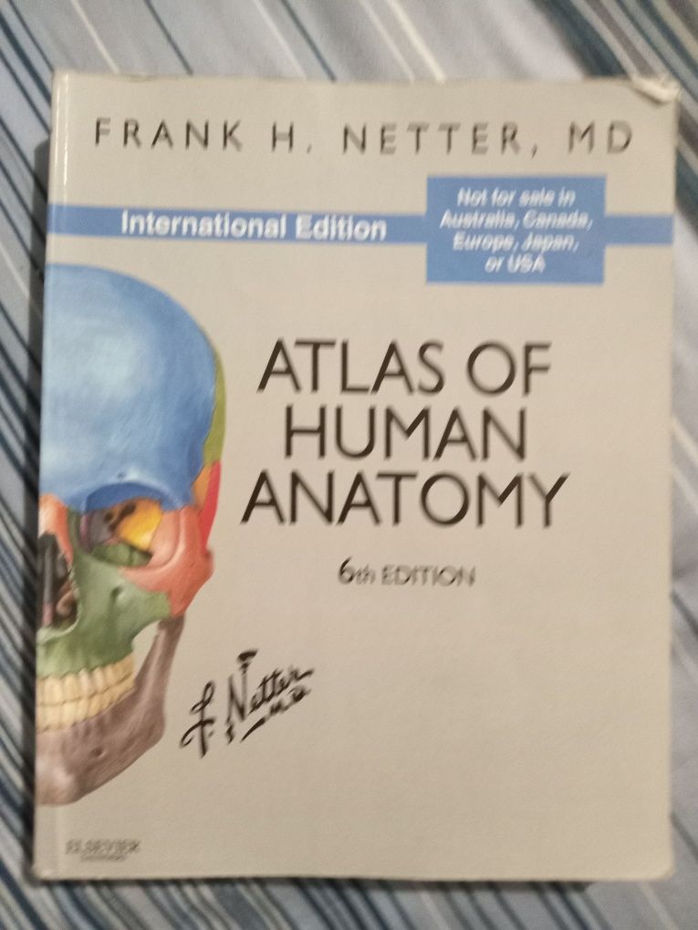 Human anatomy 1 и 2