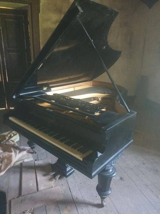 Piano de Cauda Bechstein