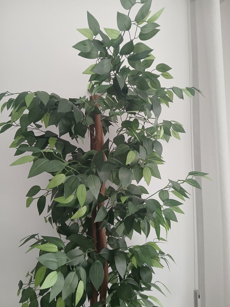 Planta artificial 150 cm, com vaso incluído.