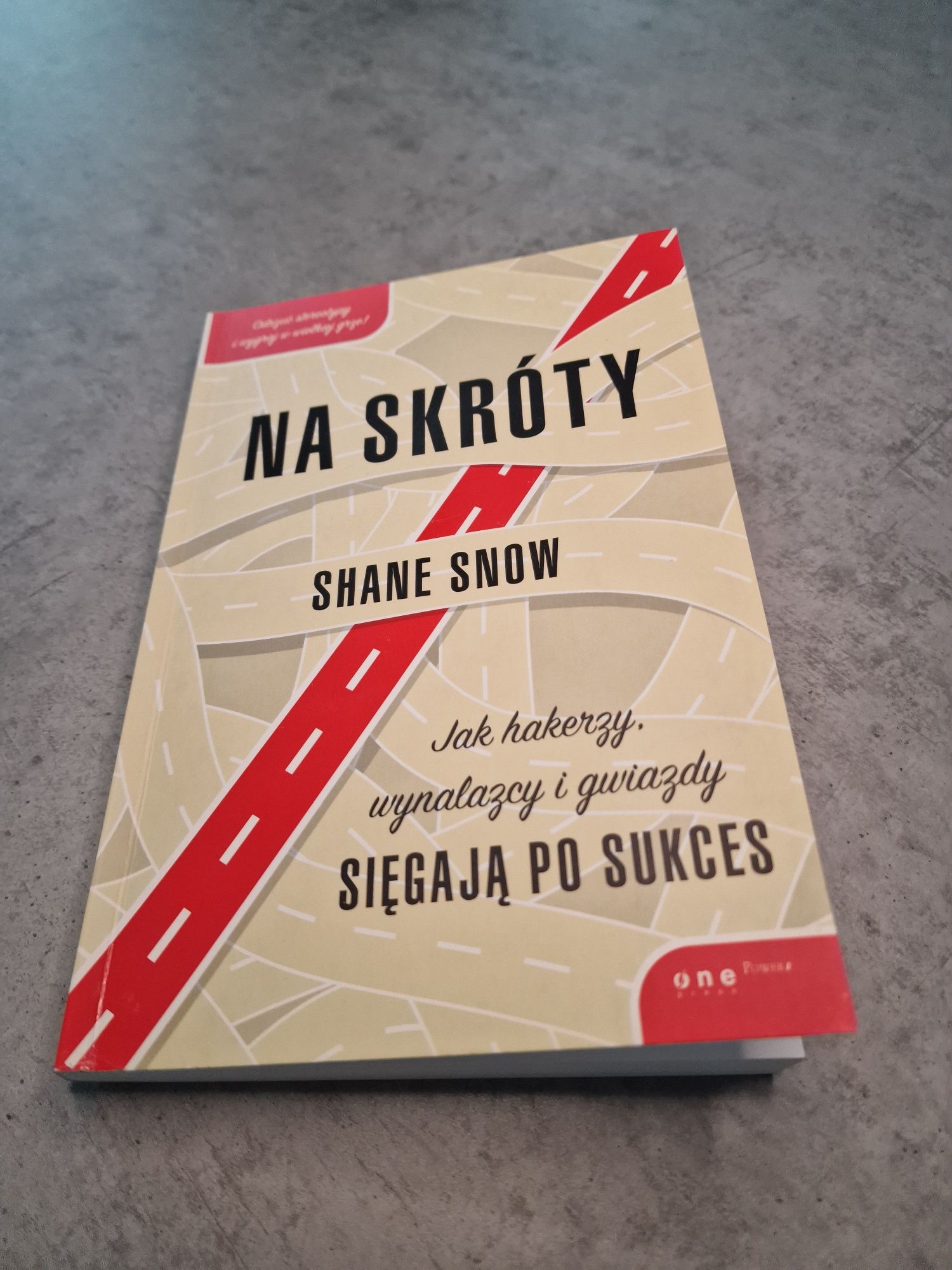 Książka Na skróty Shane Snow