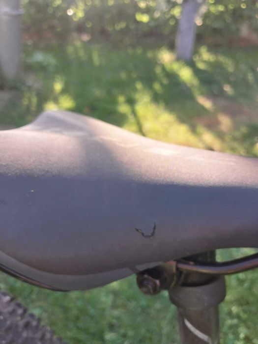 Kross hexagon X1 żółty-limonkowy