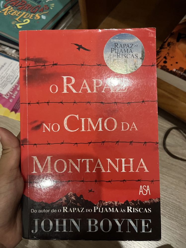 O rapaz no cimo da montanha