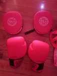 Luvas Boxe e Patas de urso