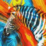 Malowanie po numerach - Kolorowa zebra 50x50cm Ideyka folia,505x505 mm