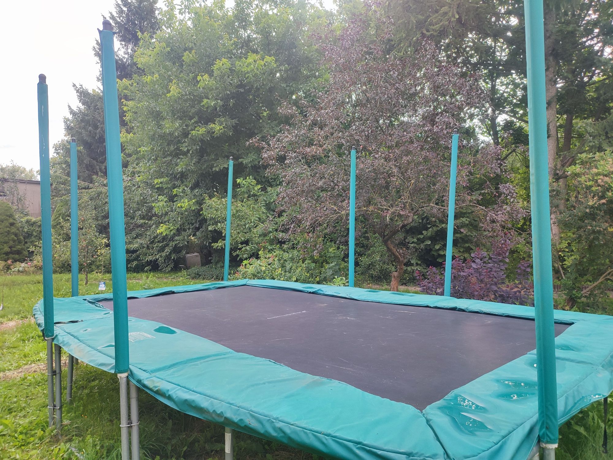 Największa trampolina prostokątna