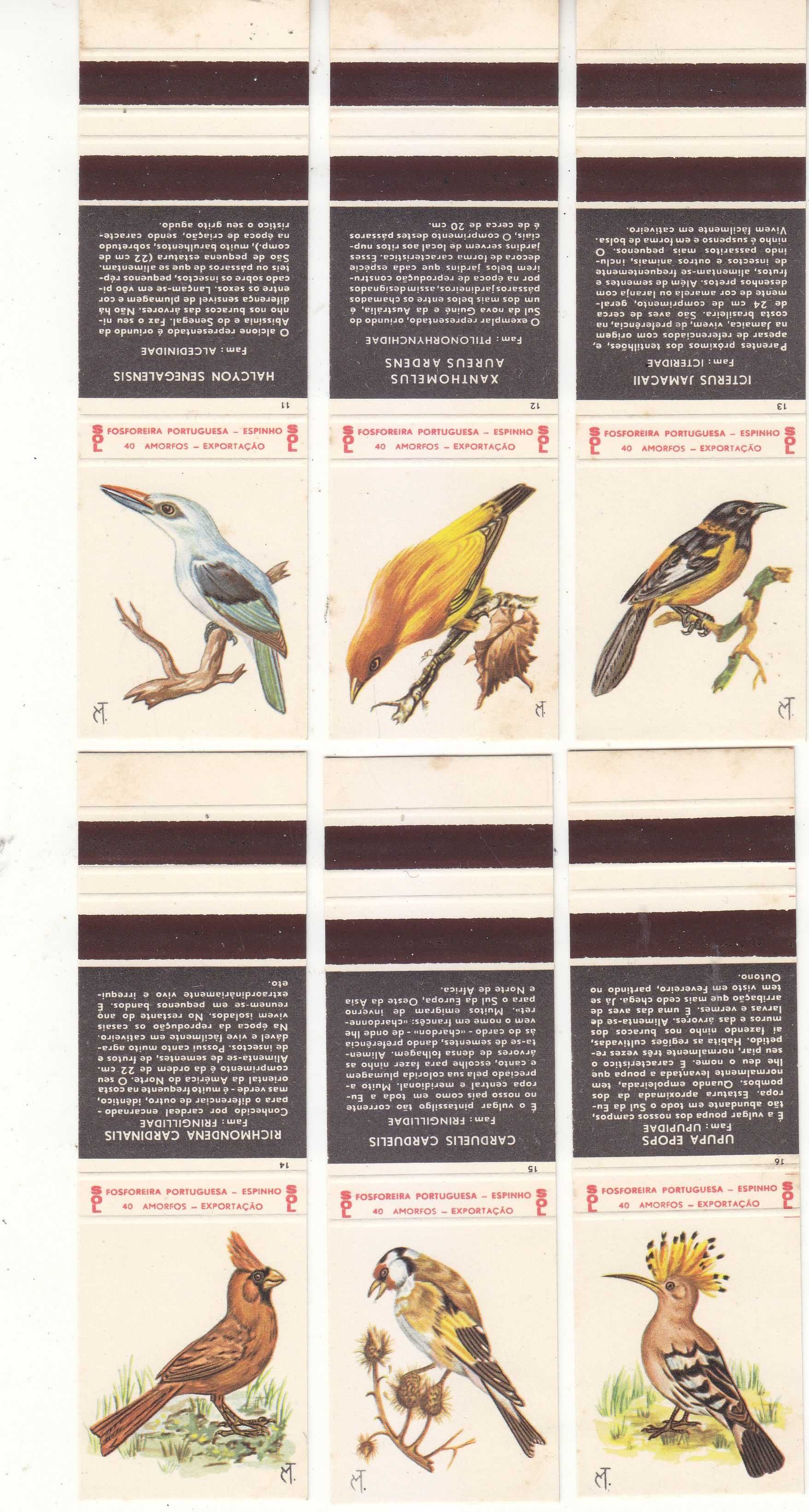 Carteiras Fósforos - Aves (Completa)