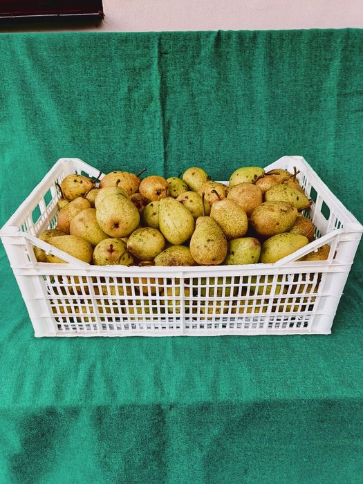 Gruszki ekologiczne 15kg