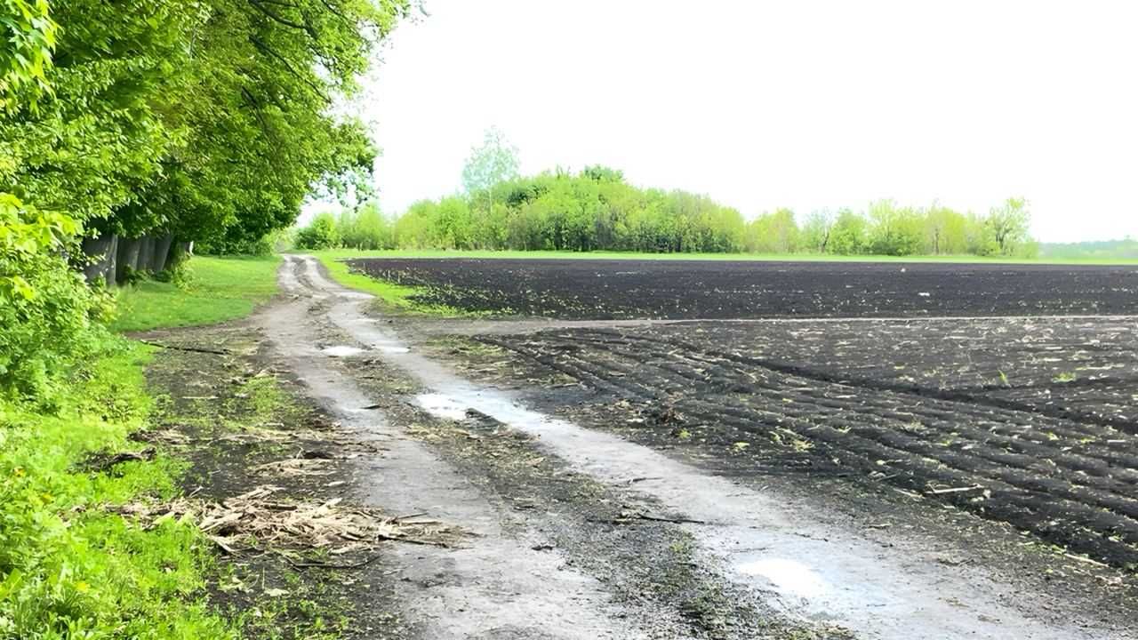 Продам земельну ділянку  110 соток на Тяжилові  9081