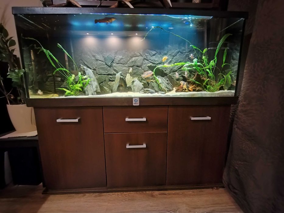 Akwarium 450 l z szafką i oświetleniem,  Bydgoszcz, Fordon, sprzedam
