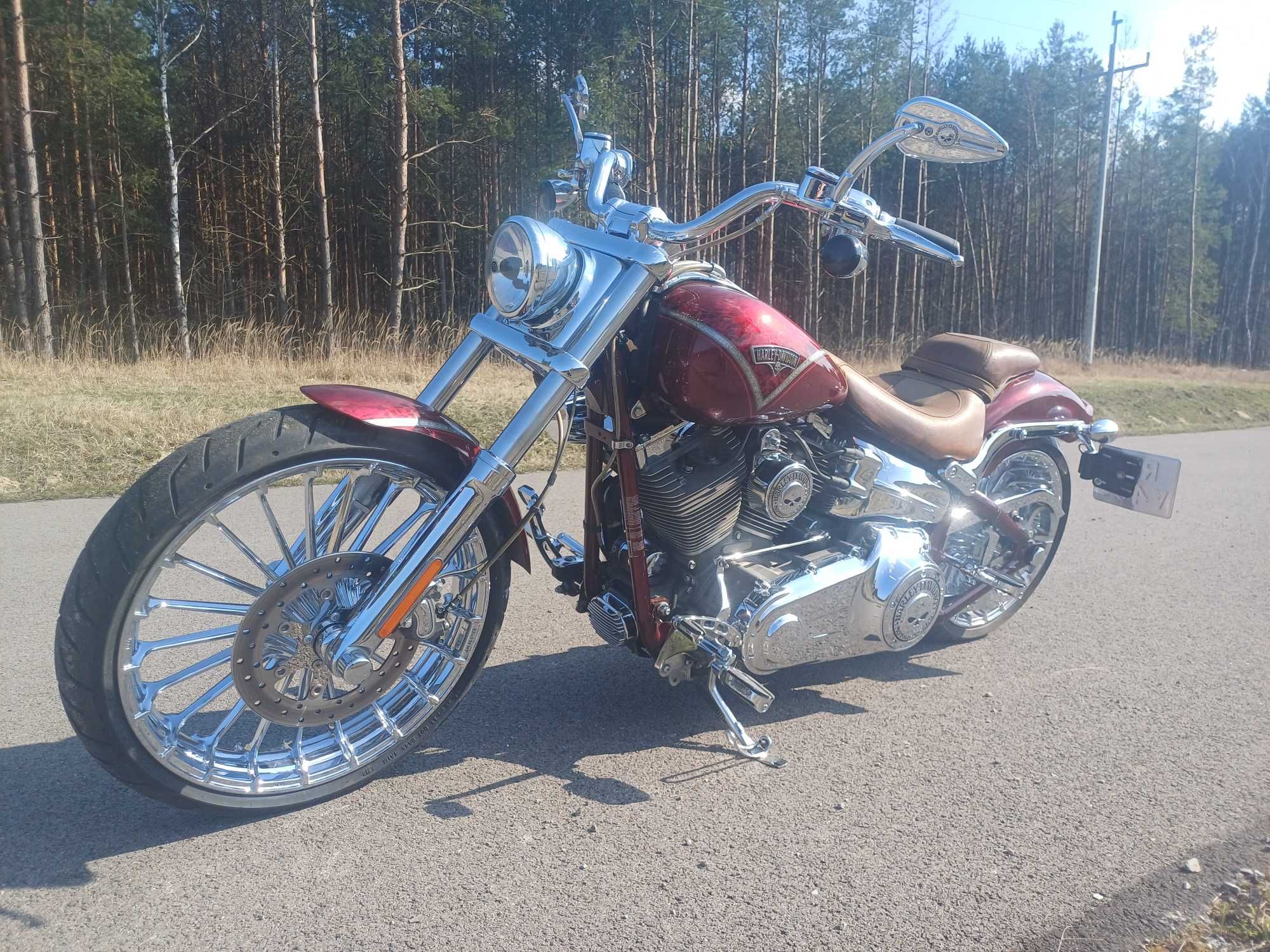 Harley-Davidson Breakout 2013 CVO 110