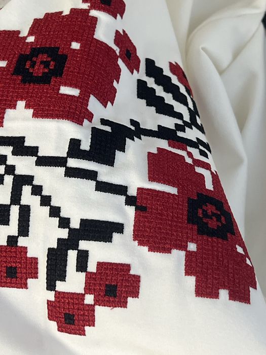 вишита сукня червоний орнамент