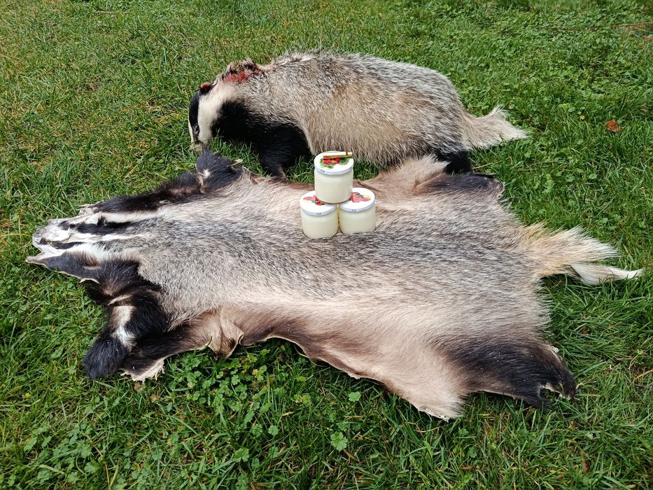 Sadło z borsuka, smalec