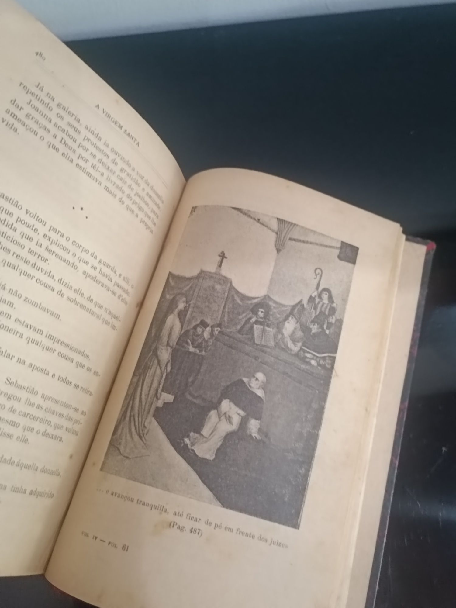 Livro   A Virgem Santa