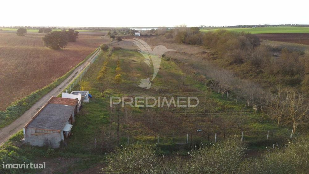 Terreno Agrícola - São Brissos , Beja