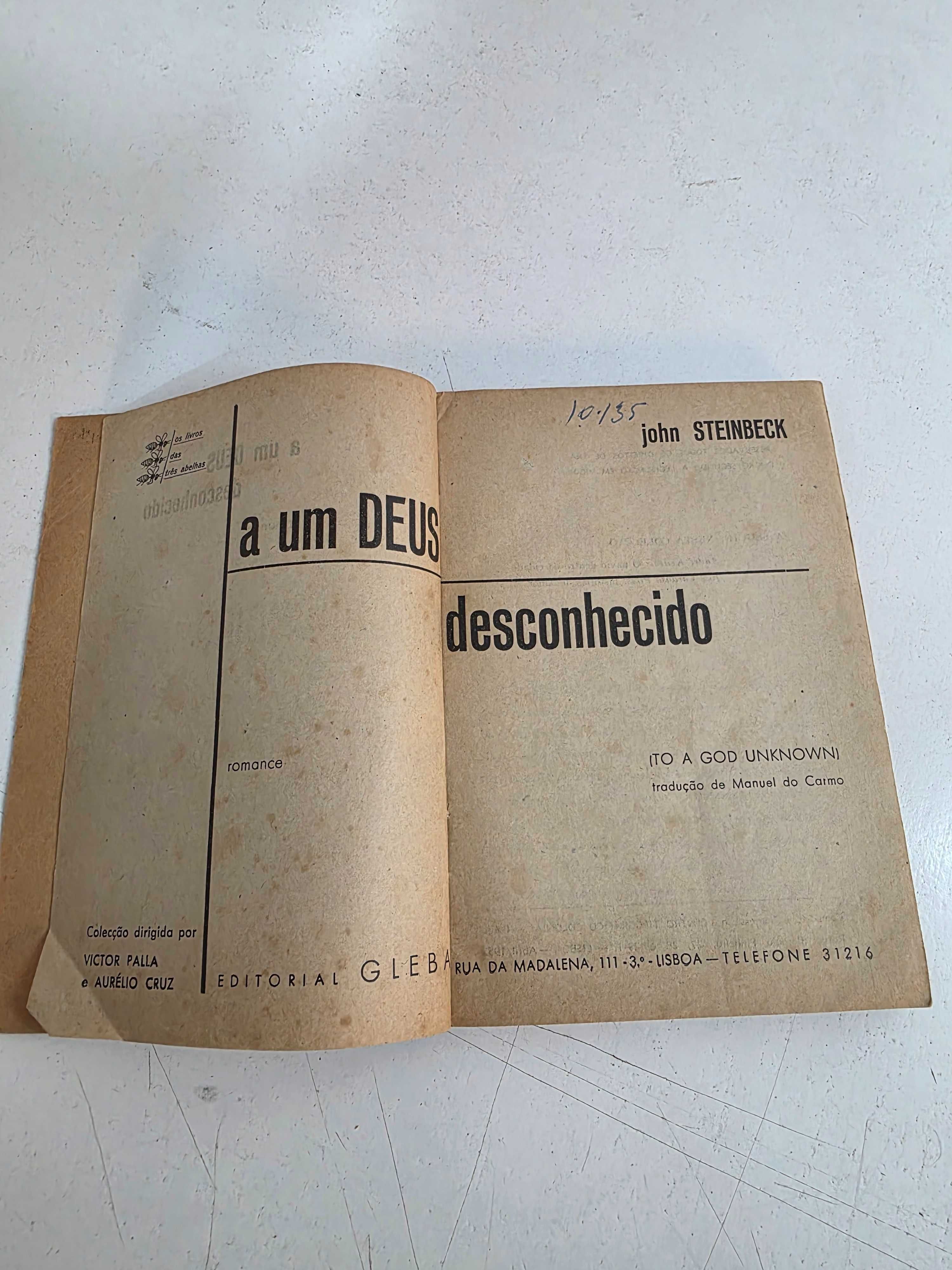 Pa1 - A um Deus desconhecido - John Steinbeck