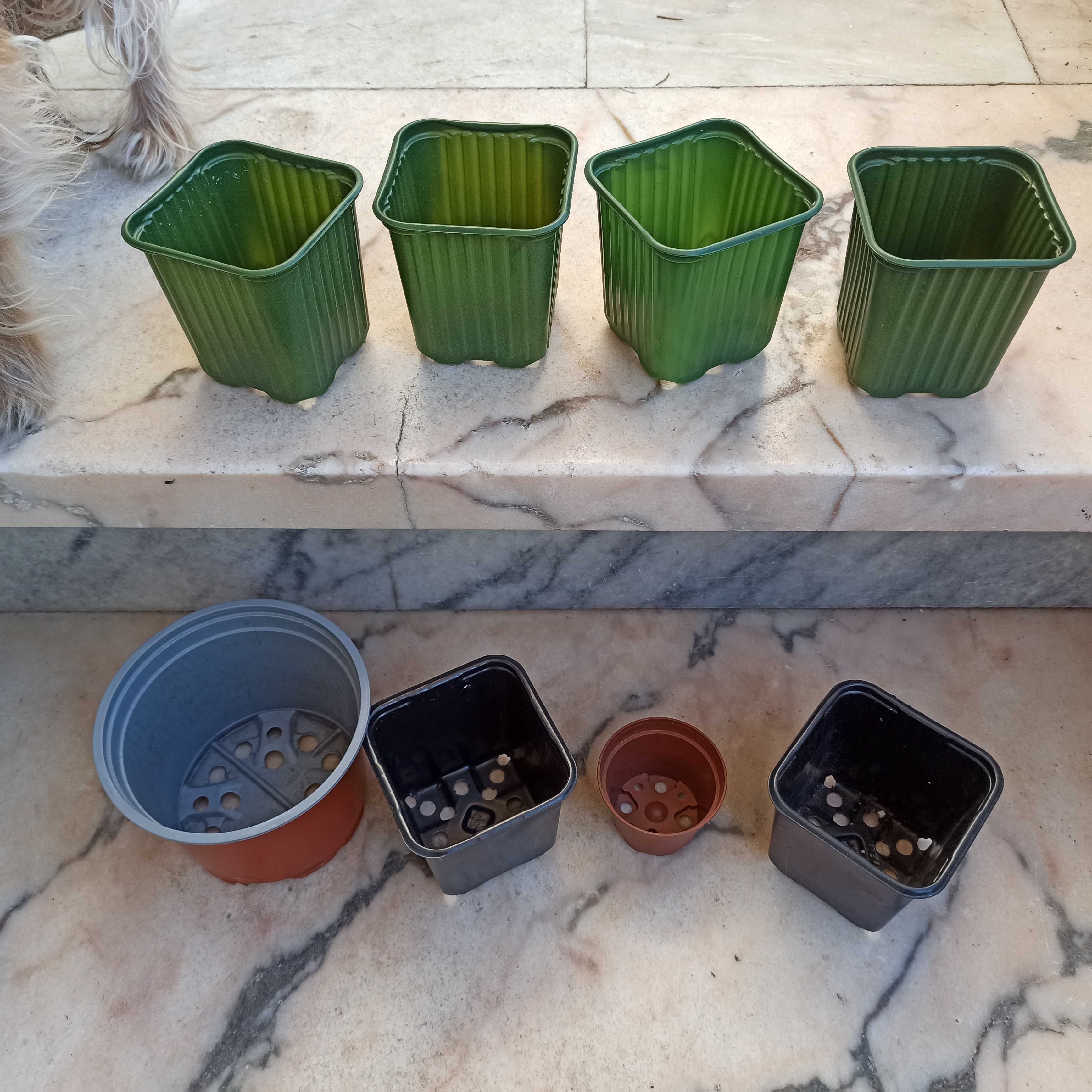 24 vasos de plástico
