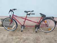 Rower Tandem BBF