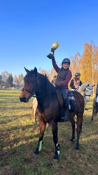 Sprzedam 6 letnią klacz