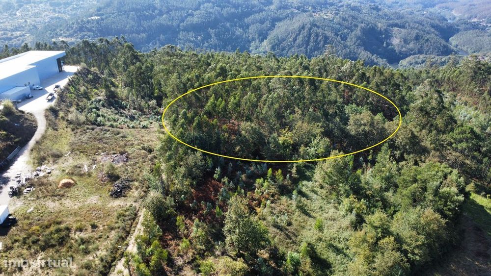 Terreno – Sever do Vouga