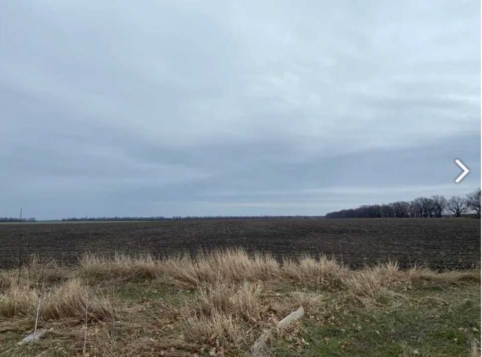 Продаж арештованої зем.ділянки для ведення товарн. виробництва, 2.23га