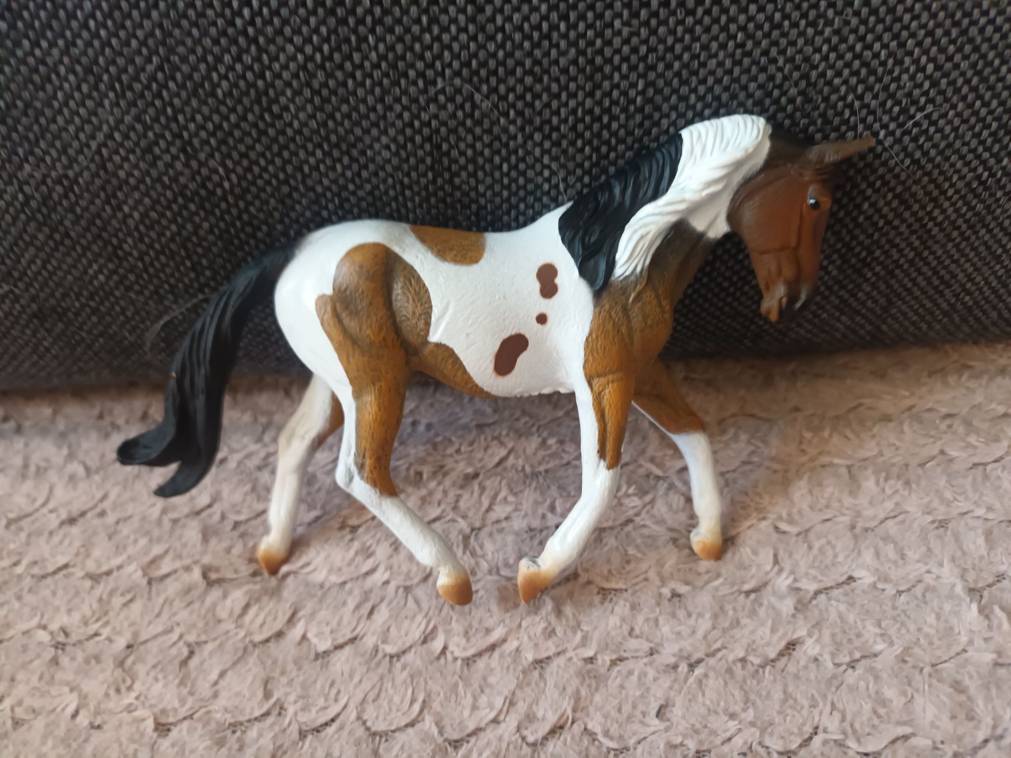 Klacz collecta koń