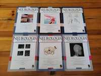Neurologia po dyplomie cały rocznik 2013