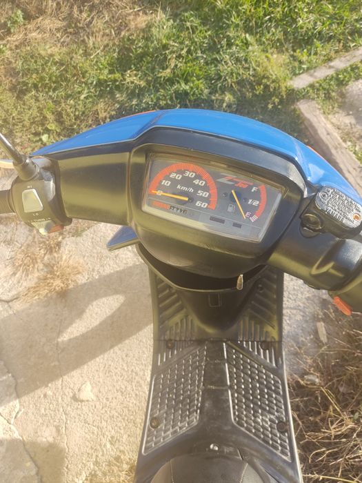 Yamaxa JOG j16 49.9cm