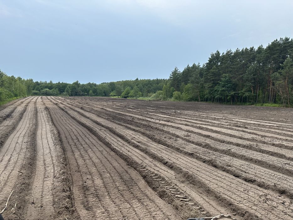 Mulczer leśny wgłębny powierzchniowy mulczowanie wycinka drzew działek