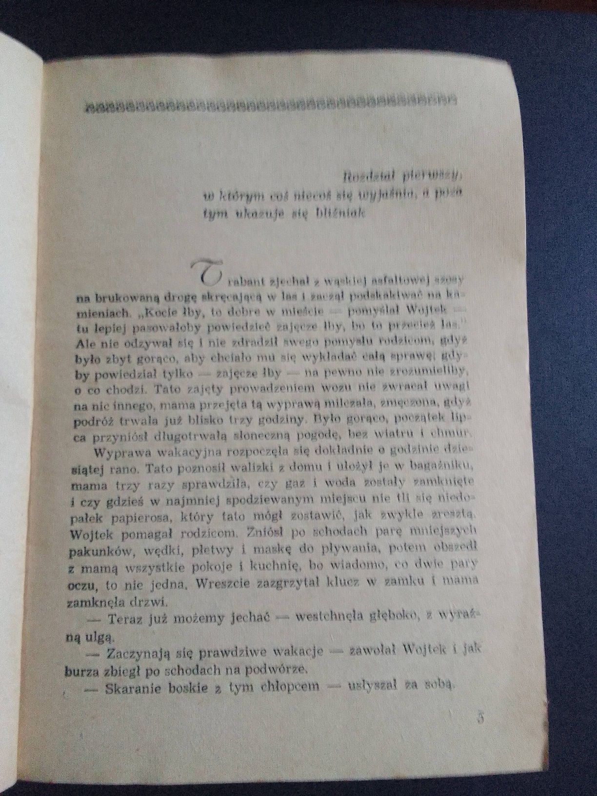 Zielone czyli wakacje w Dłusku, W. Rogowski