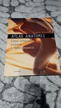 Atlas Anatomii-Peter Abraham, ciało człowieka: budowa i funkcjonalnowa