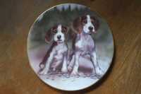 Porcelanowy talerz kolekcjonerski Royal Grafton pies beagle