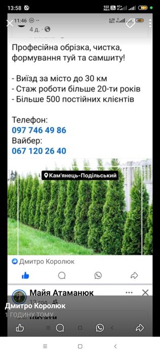 Оренда Подрібнювача гілок в щепу, щепореза
