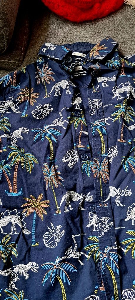 Koszula z krotkim rekawem w dinozaury i palmy 110