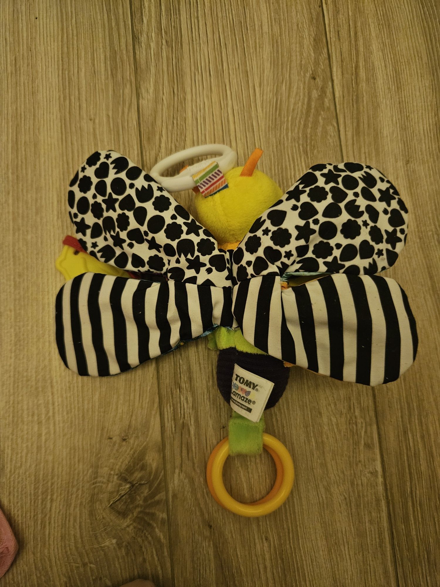 Motyl Tommy Lamaze