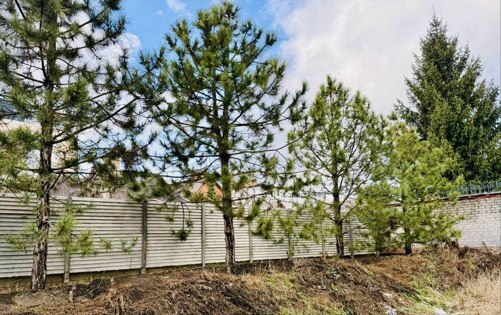 Ділянка з будинком у центрі Харкова, Шатилівка + проєкт і бригада!