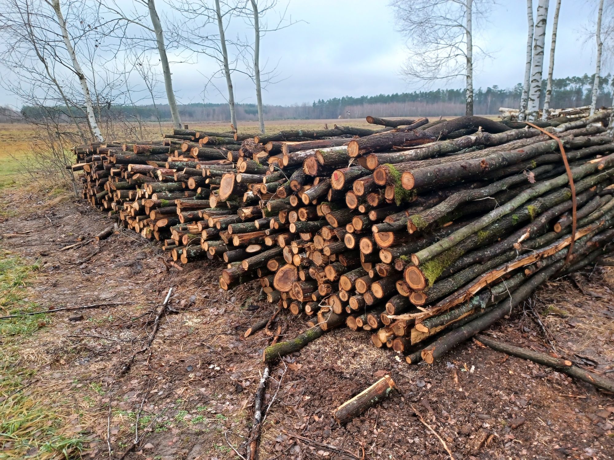 Drewno opałowe sprzedam