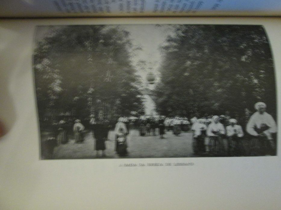 A maravilhosa viagem de Nils Holgersson- Selma Lagerlof