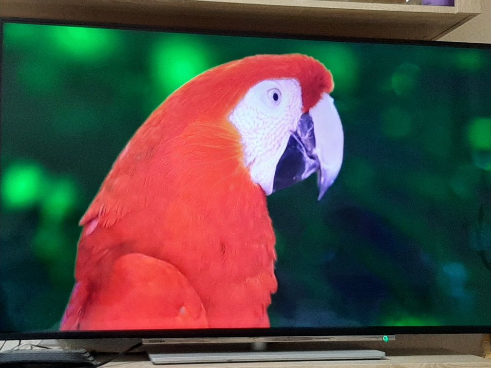 Телевизор Grundig 49" 2022г