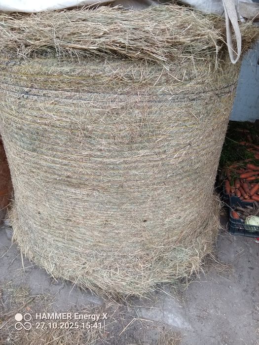 Sprzedam siano(80zł) i sianokiszonkę z owsa i seradeli(65zł)