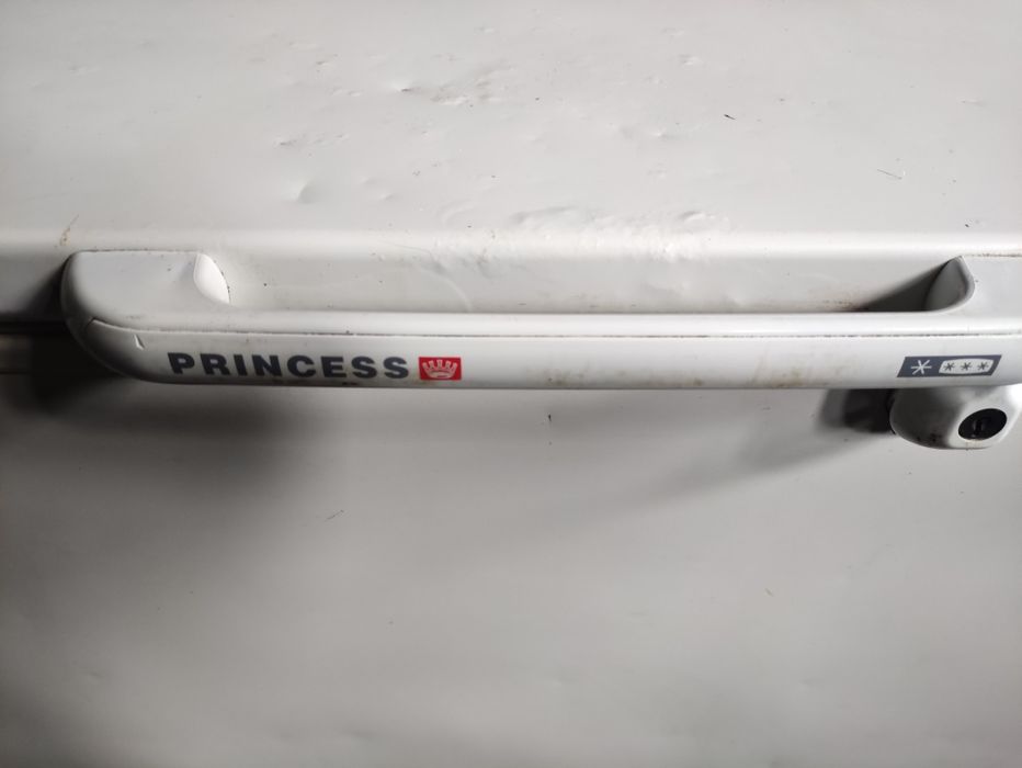 Arca congeladora Princess
